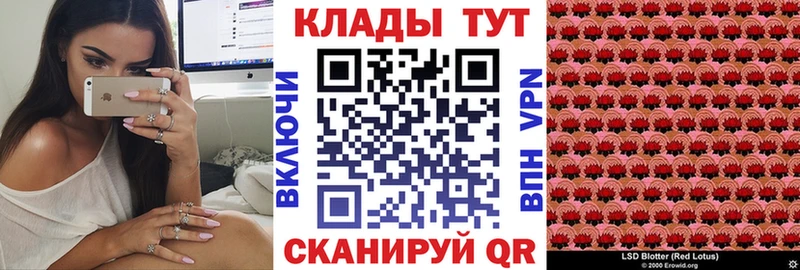 Как найти наркотики Родники ГАШ Бошки Шишки Alpha-PVP Мефедрон Кокаин
