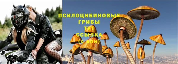 спиды Костерёво