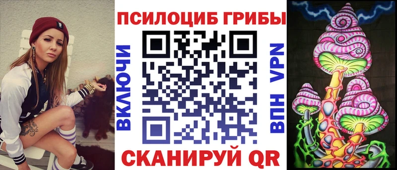 купить   Родники  Галлюциногенные грибы Psilocybine cubensis 